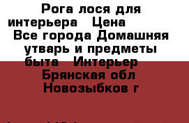Рога лося для интерьера › Цена ­ 3 300 - Все города Домашняя утварь и предметы быта » Интерьер   . Брянская обл.,Новозыбков г.
